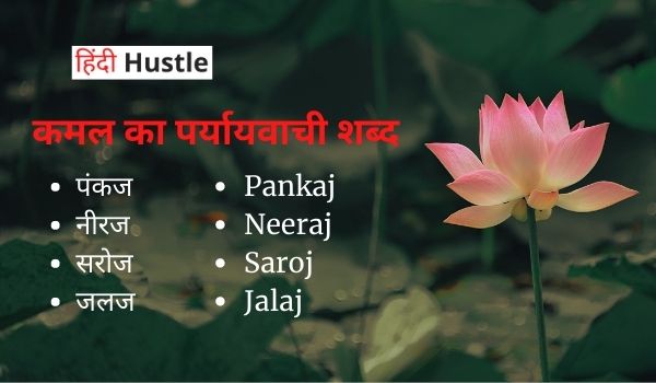Janiye Kamal Ke Paryayvachi Shabd In Hindi | कमल के पर्यायवाची शब्द