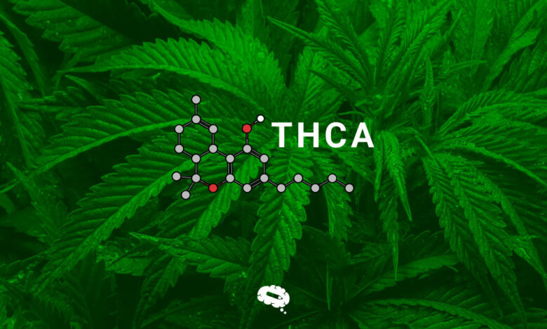 The Natural Medicine Cabinet Exploring THCA Weed's Holistic Health Benefits