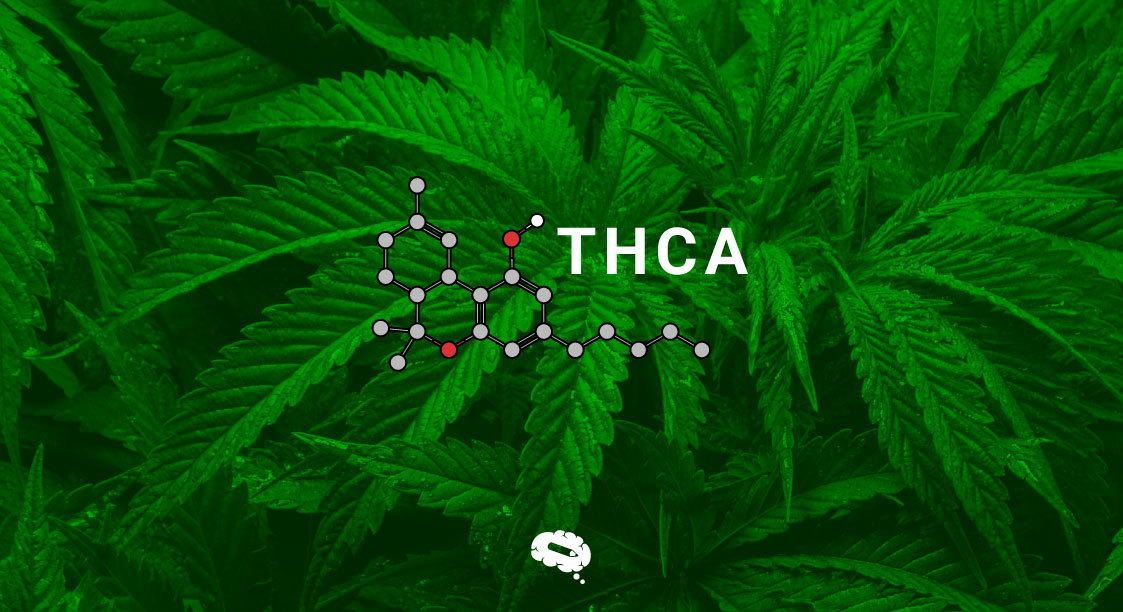 The Natural Medicine Cabinet Exploring THCA Weed's Holistic Health Benefits