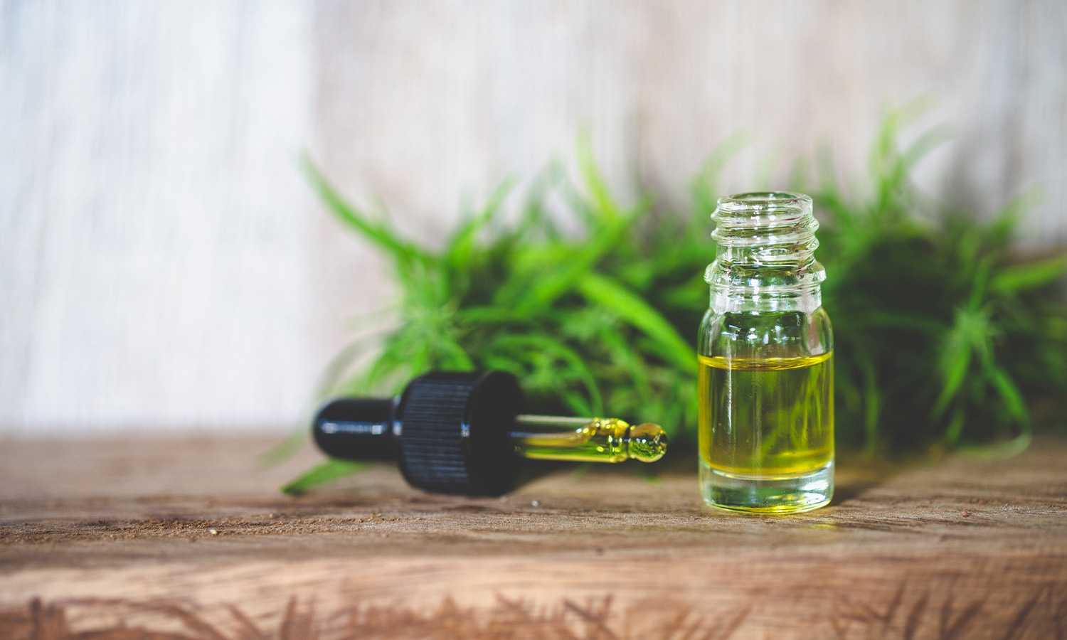 The Comprehensive Guide to CBD Oil by Formula Swiss