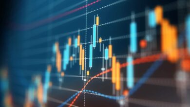 Understanding Forex Brokers: Your Key to Successful Trading