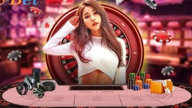 Korea's Live Casino The King Casino: A Beginner's Guide to Success