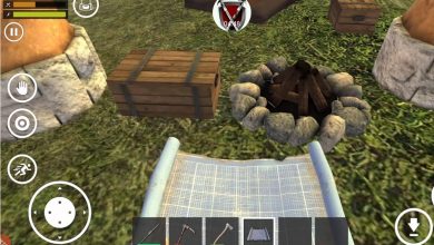 Tactics and Tips for Online Survival Simulators