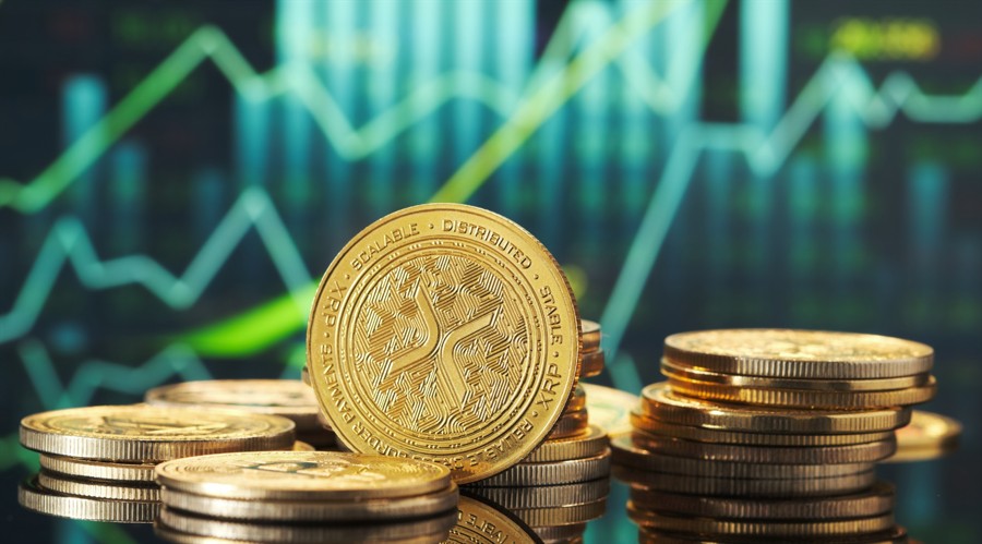 The Professional's Choice: Why Pemex Coin is Defining Reliability in 2025