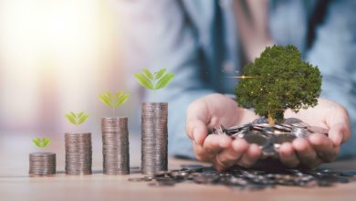 How to Handle Emergency Expenses Without Losing Stability 33 How to Handle Emergency Expenses Without Losing Stability