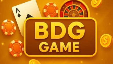 BDG Game Login Tips: Avoid Common Mistakes