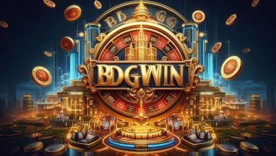 Expert Insights on BDG Win Game Strategies