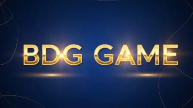 Understanding Features After BDG Login