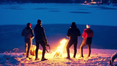 The Global Campfire: Estimating Concurrent Viewership in the Forty-Eight Team Era