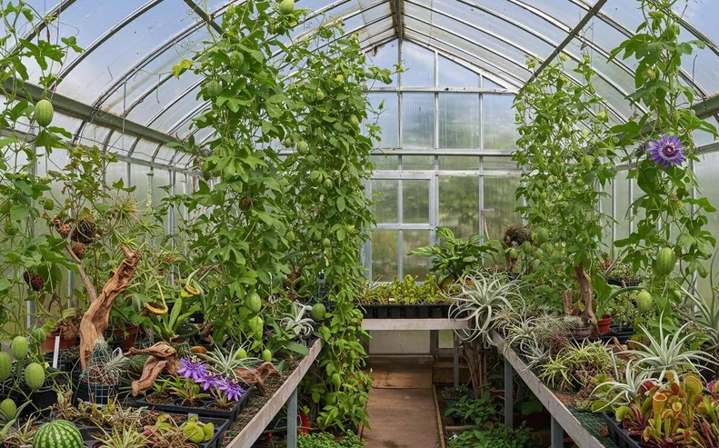 Maximising Plant Growth with Quality Greenhouses
