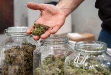 The Rise of Customized Cannabinoid Blends