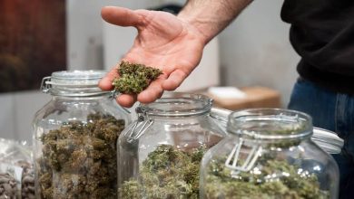 The Rise of Customized Cannabinoid Blends