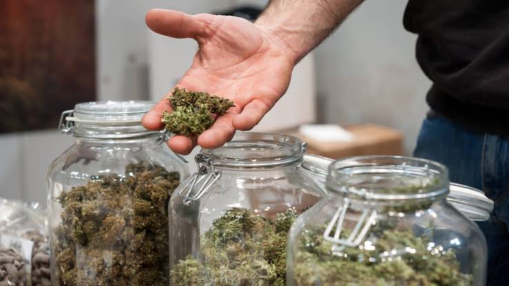 The Rise of Customized Cannabinoid Blends